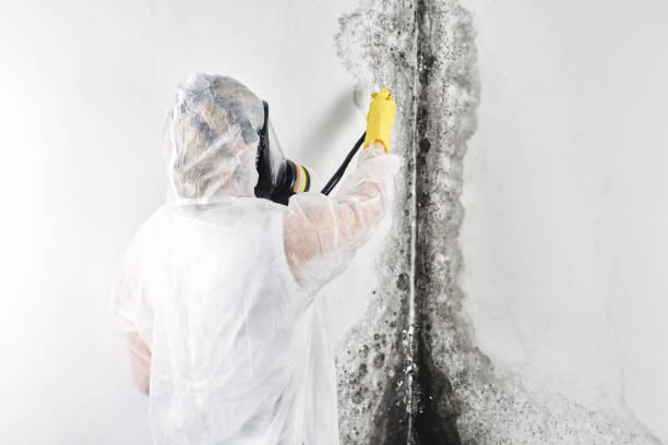 Best Commercial water damage restoration  in Holton, KS